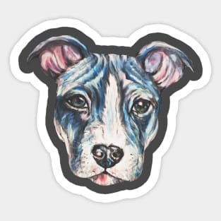 Blue Pitbull Face Sticker